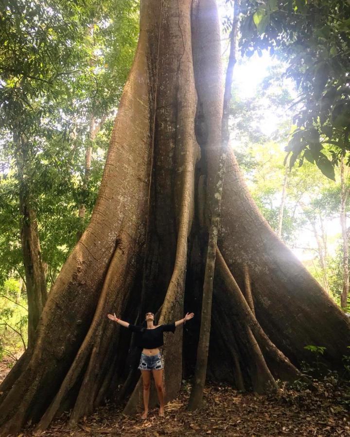 Amazonia Lodge Exxperience Paricatuba Экстерьер фото